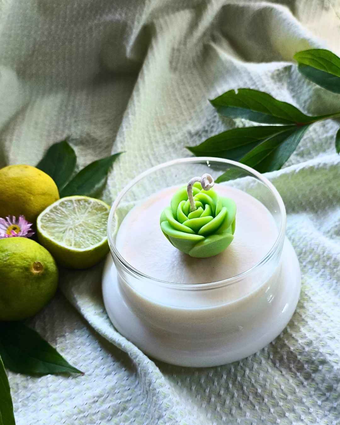 lime-bloom-lumivera-3