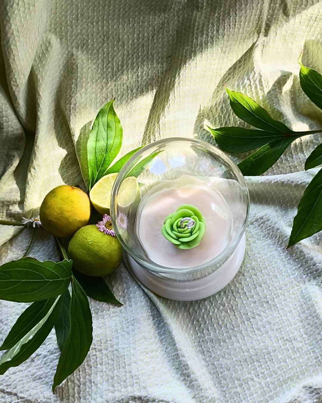 lime-bloom-lumivera-4