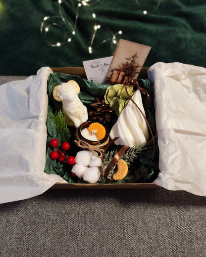 Sveču komplekts Ziemas Meža Siltums atvērtā kastītē ar zaļu iesaiņojumu, kokvilnas un ziemīgiem dekoriem