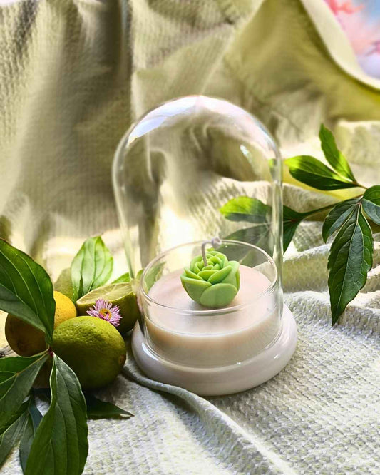 lime-bloom-lumivera-1
