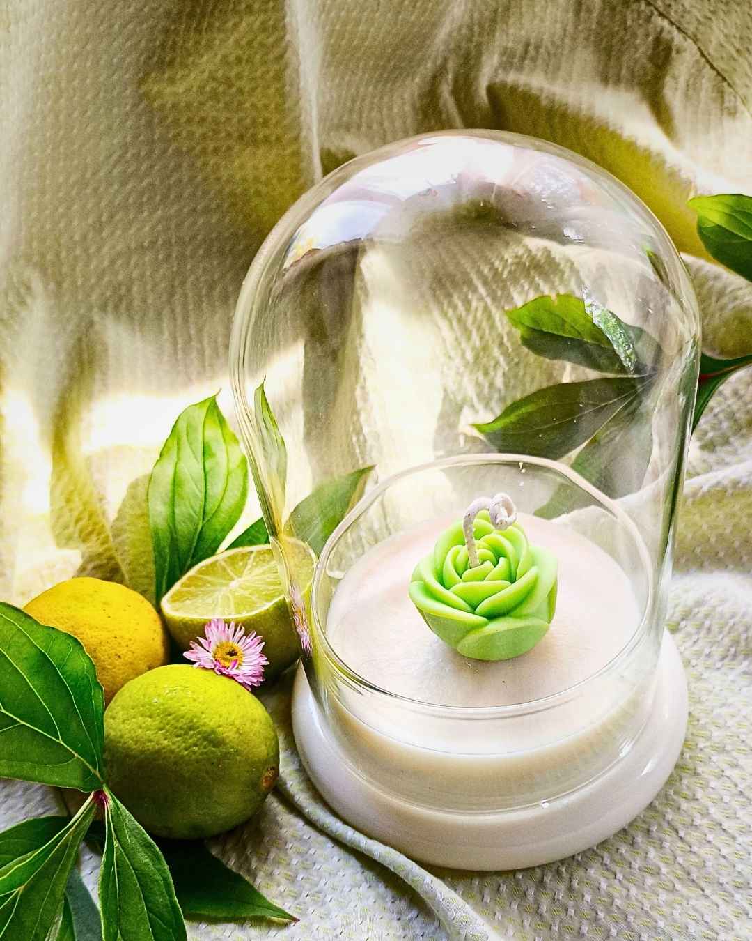 lime-bloom-lumivera-2