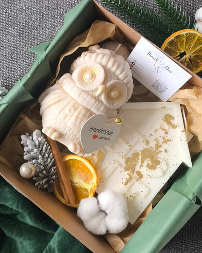 snowy-owl-set-lumivera-3