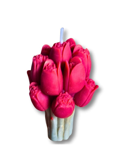 tulip-light-red-lumivera-1