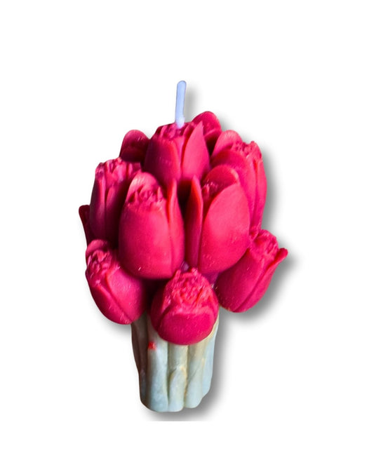 tulip-light-red-lumivera-1