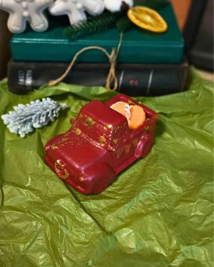 winter-citrus-ride-lumivera-1