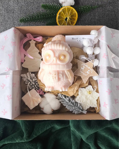 winter-owl-dream-lumivera-2